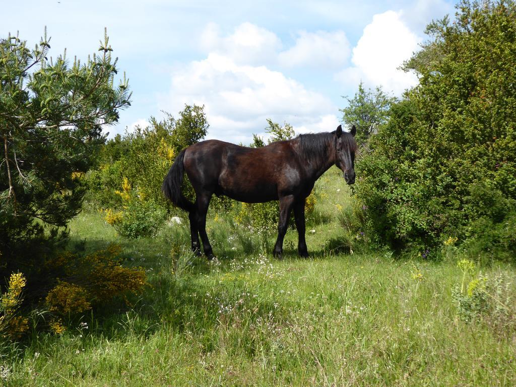 מלון Bargème Ferme Saint Pierre מראה חיצוני תמונה