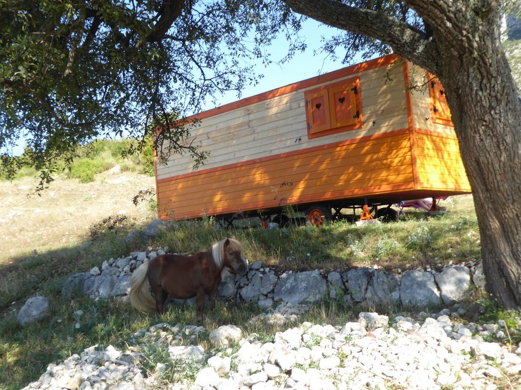מלון Bargème Ferme Saint Pierre מראה חיצוני תמונה